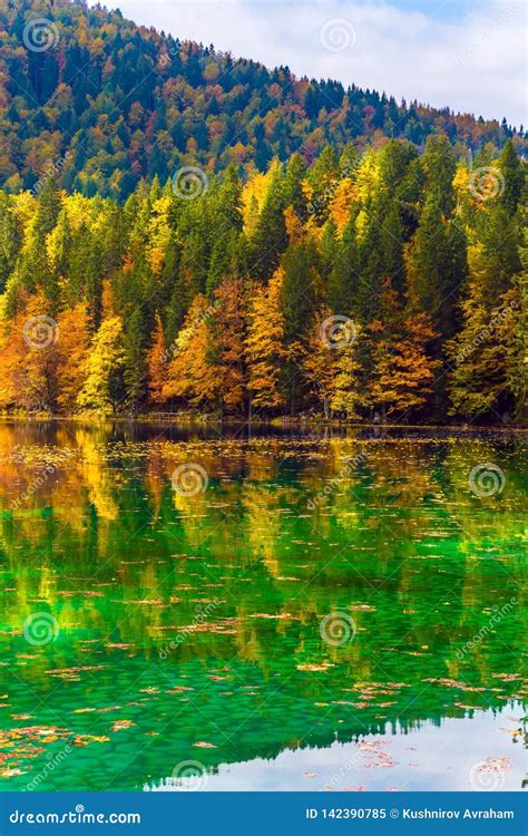 Scenic Reflections Of Forests Stock Image Image Of Cultural High