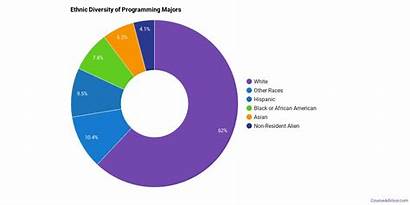 Programming Computer Majors Diversity Major Much