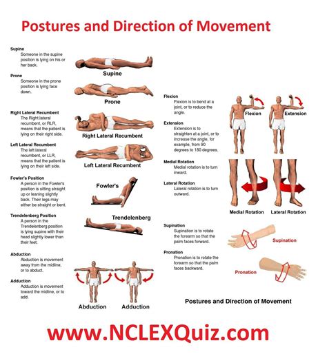 Patient Positioning Cheat Sheet For Nursing Students Nursingstudents