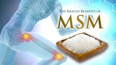 The Forgotten Mineral The Health Benefits Of Msm Msm Benefits
