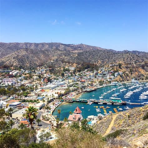 Join The Gossip Free Birthday Trip To Catalina Island