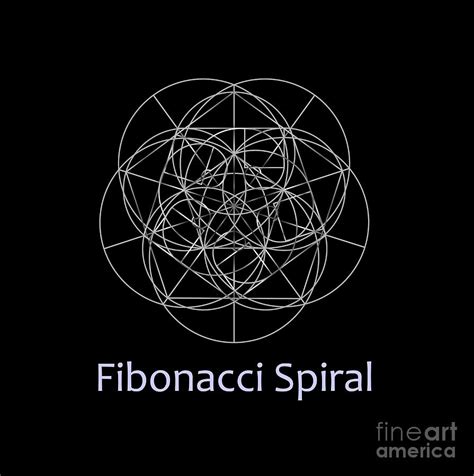 Fibonacci Spiral The Sacred Geometry Digital Art By Shawlin