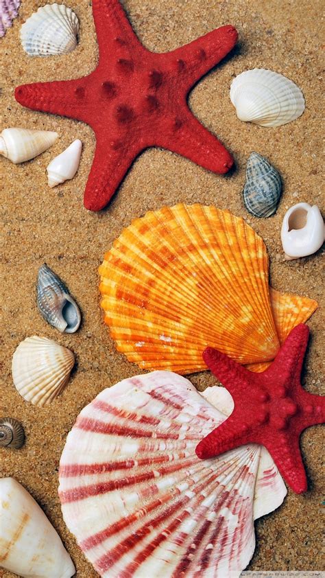 If you're looking for the best summer wallpapers then wallpapertag is the place to be. Summer Holiday Background Ultra HD Desktop Background ...