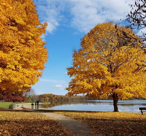 Some Of The Best Fall Colors In Indiana Can Be Found At These 6 Parks