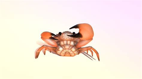 crabby download free 3d model by jimzorb [adcc07e] sketchfab