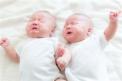 Memiliki anak kembar dalam keluarga, khususnya dari sisi ibu. Kembar Identik Terjadi Karena Adanya Pembuahan Dari ...