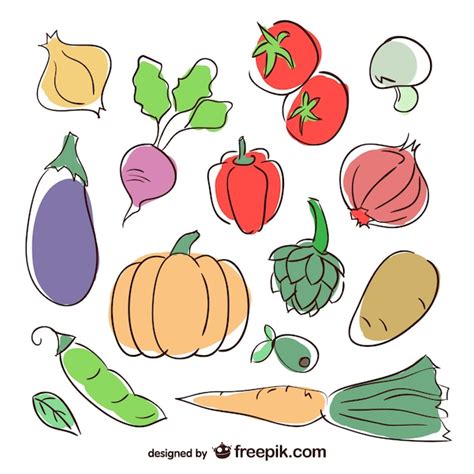 Ilustraciones De Verduras De Colores Descargar Vectores Gratis