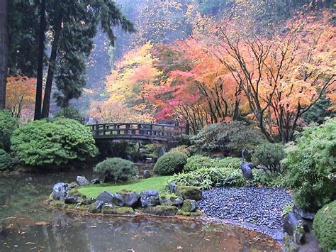 Autumn Japanese Garden With Maples Colors Bushes Gardens Nature Other