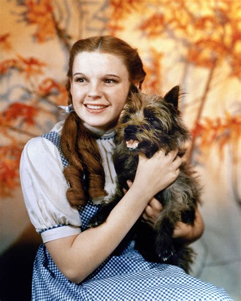 Judy Garland In The Wizard Of Oz Dorothy Wizard Of Oz Wizard Of Oz