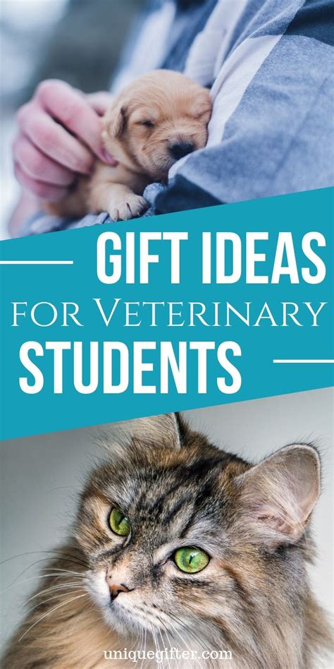 Specific interest all awards & recognition dental doctors & physicians nurses pharmacy veterinarian. Gift Ideas for Veterinary Students | Unique presents