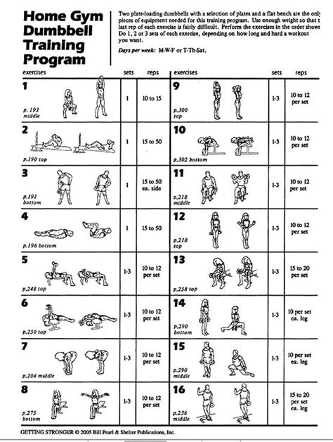 Dumbbell Training Program Gym Training Program Bench