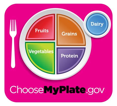 The card with the image of the dryers for fruits and the fruits label with a plate with dried fruits. MyPlate: Fruit, veg, grains, dairy - and protein?