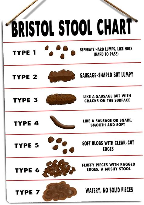 Bristol Stool Scale Poster Stools Item