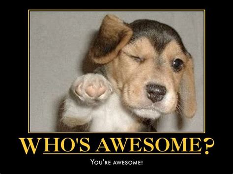Whos Awesome Youre Awesome Not A New Meme But I Wante Flickr