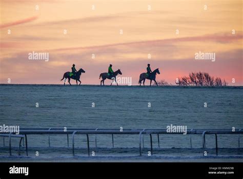Newmarket Heath Stock Photos And Newmarket Heath Stock Images Alamy