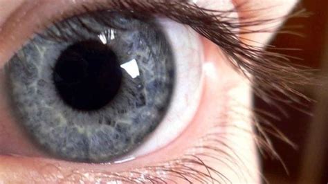 Grey Eyes Learn About A Rare Smokey Eye Color