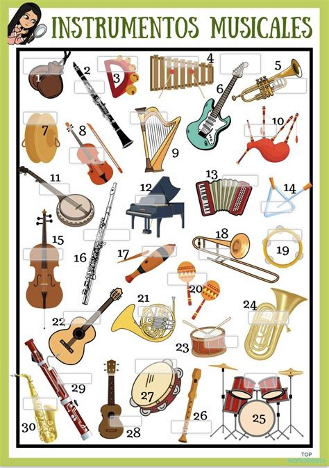 Total Imagen Instrumentos Musicales Nombres Consejotecnicoconsultivo Com Mx