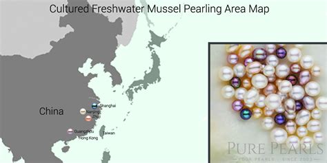 Pearl Types 101 Akoya Tahitian Freshwater And South Sea Pearls Pure