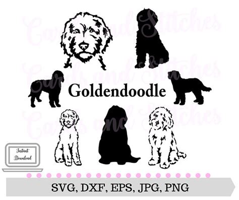 Receive 18 extra design svg's for an added bonus to make a unique shirt for the birthday. Goldendoodle SVG Dog Silhouettes Dogs SVG Digital