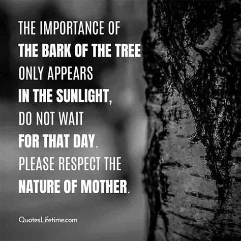 100 Mother Nature Quotes Everyone Needs To Read