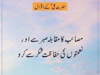 59 Mola Ali Quotes In Urdu Ideas Ali Quotes Mola Ali Quotes