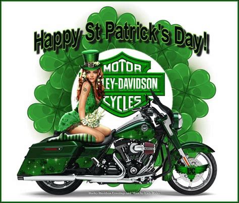 Pin By Douglas King On Hd St Patrick S Day Harley Davidson Logo