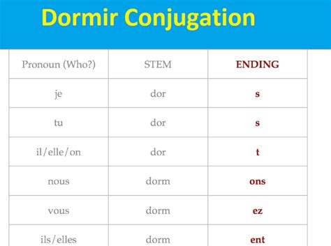 What Is Dormir Conjugation