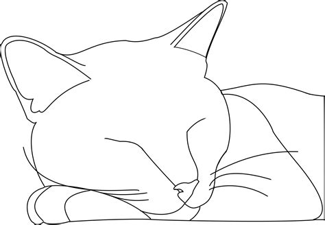 16 Line Drawing Cat Asyandedip