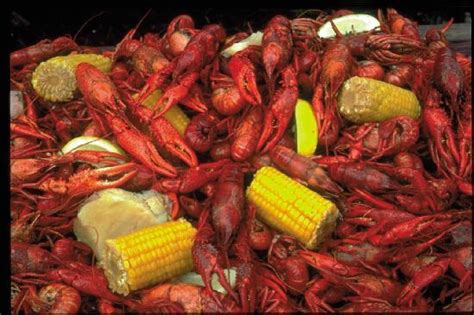 A Louisiana Delicacyboiled Crawfish Picture Of Baton Rouge