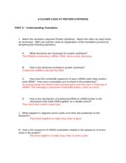Download ebook rna and protein synthesis answer key gizmo. Mood disorders These disorders also called affective disorders involve