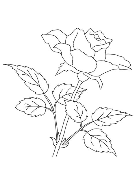 Color those roses to match their message too. Free Printable Flower Coloring Pages For Kids - Best ...