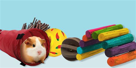 How To Make Guinea Pig Chew Toys Toywalls
