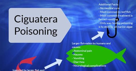Ciguatera Poisoning Infographic