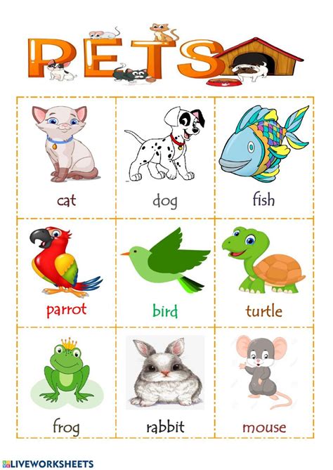 Fun And Interactive Pets Worksheet For Grade 2