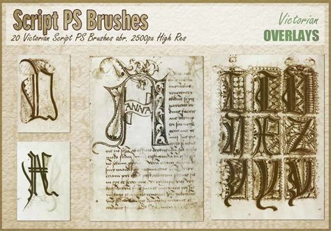 Victorian Script Ps Brushes Abr Texture Photoshop Brushes