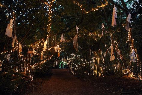 5 Things We Learnt At End Of The Road Festival Fairy Lights In Trees