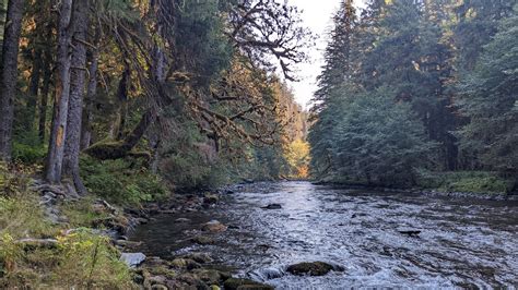 Enchanted Valley Via East Fork Quinault River — Washington Trails