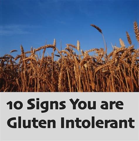 10 Signs You Are Gluten Intolerant Gluten Intolerance Intolerance
