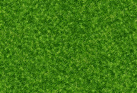 30 Free Real Grass Textures