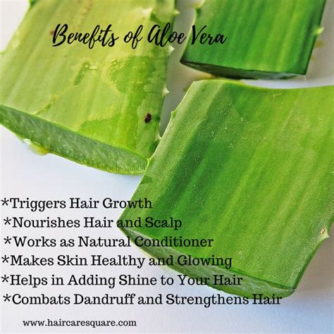 benefits of aloe vera juice or gel for hair and how to use it in 5 ways aloe vera visage aloe