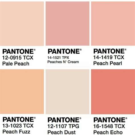 Pin By Jayz 🍦 On Artsy Colors And Fonts Shades Of Peach Peach Echo