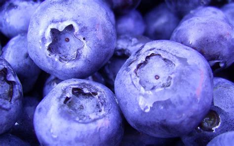 Extreme Closeup Of Blueberries Close Up Photography Fruit Extreme