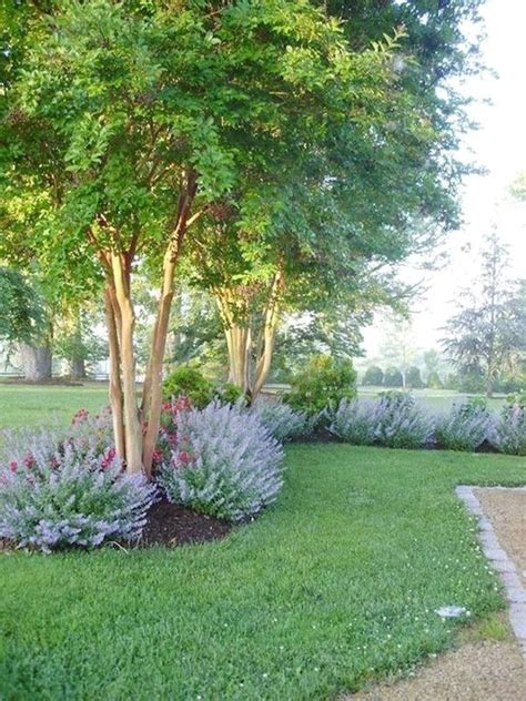 Backyard Trees Ideas 20 Beautiful Diy Decors For A Cozy Home