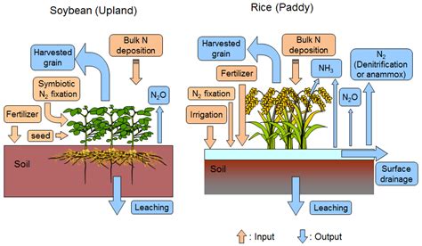 Agriculture Free Full Text Changes In The Nitrogen Budget And Soil