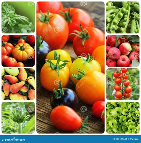 Collage De Las Verduras Y De La Fruta Productos Del Huerto Concepto