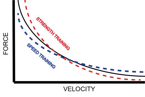 Check spelling or type a new query. Shooting in the Dark: Maximizing Training Outcomes with ...