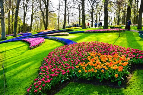 The Beauty Of Keukenhof Gardens In The Netherlands More Chic Life