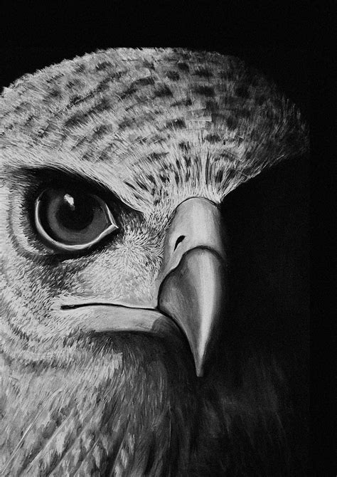 Chalk And Charcoal On Behance