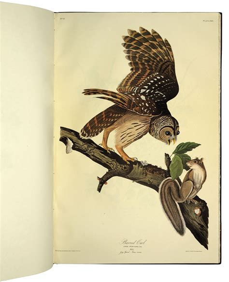 Audubon John James 1785 1851 The Birds Of America New York