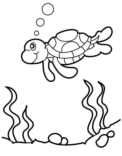Cute Baby Turtle Coloring Pages